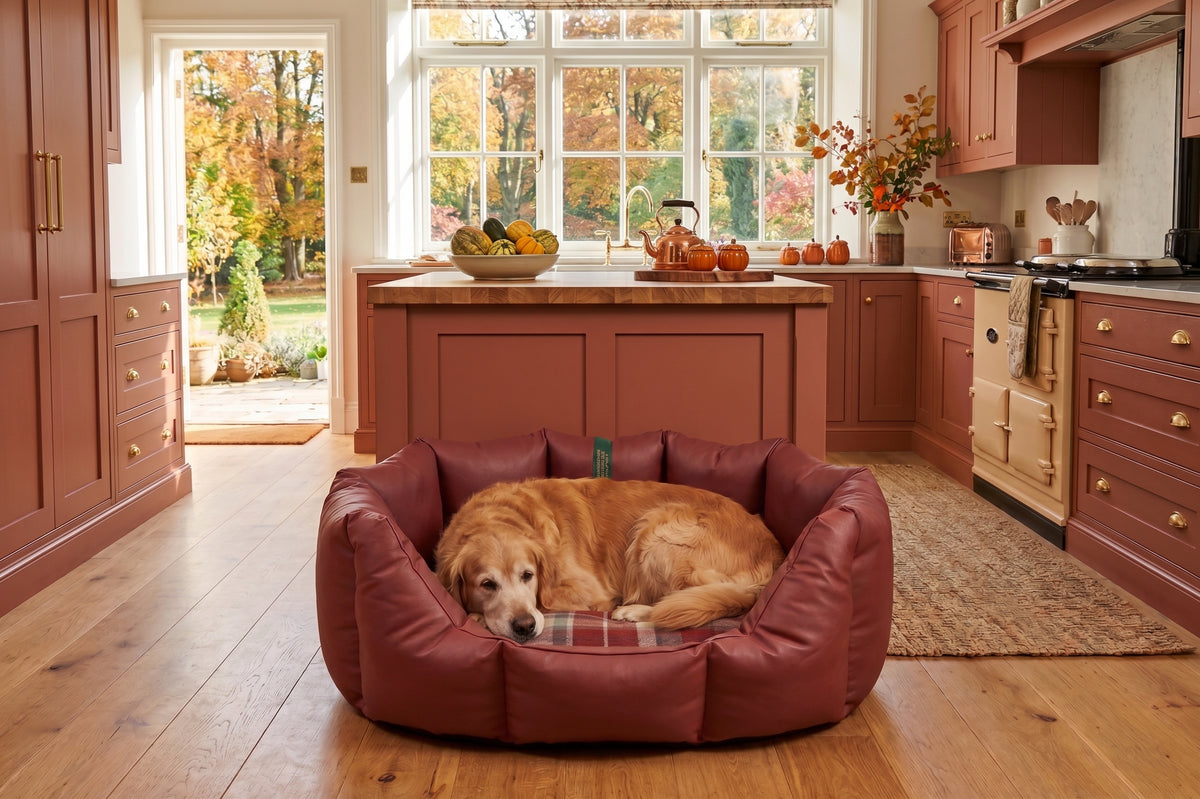(Easy Access Russet with Winter Warm)