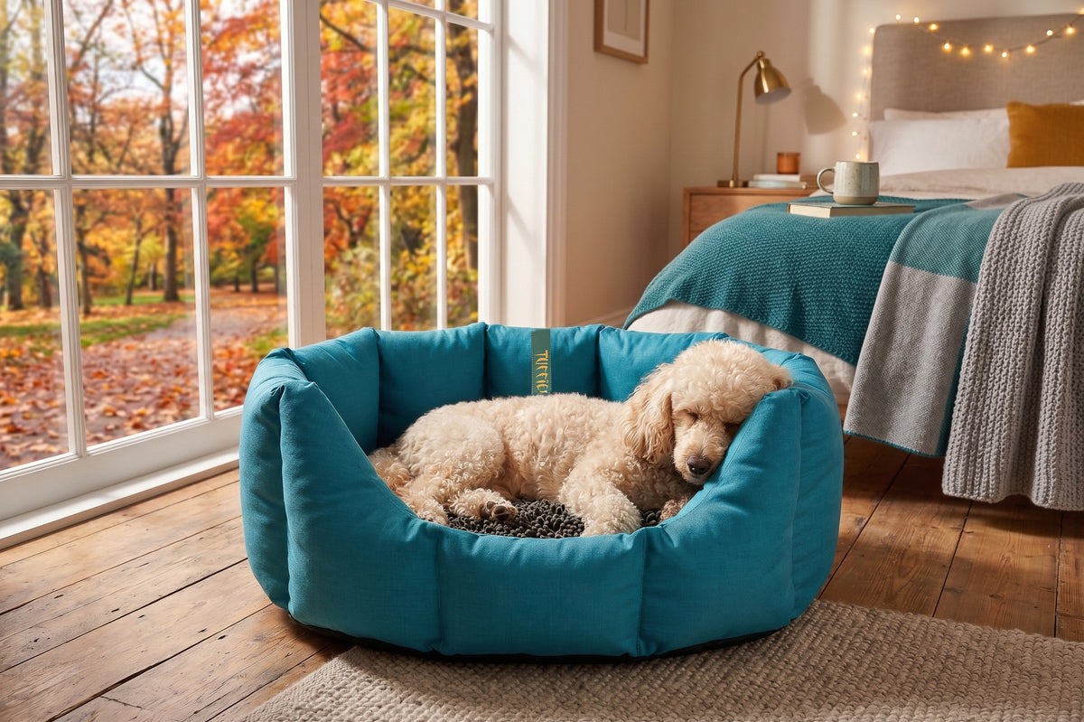 (Easy Access Teal with Brown Dog Dryer)