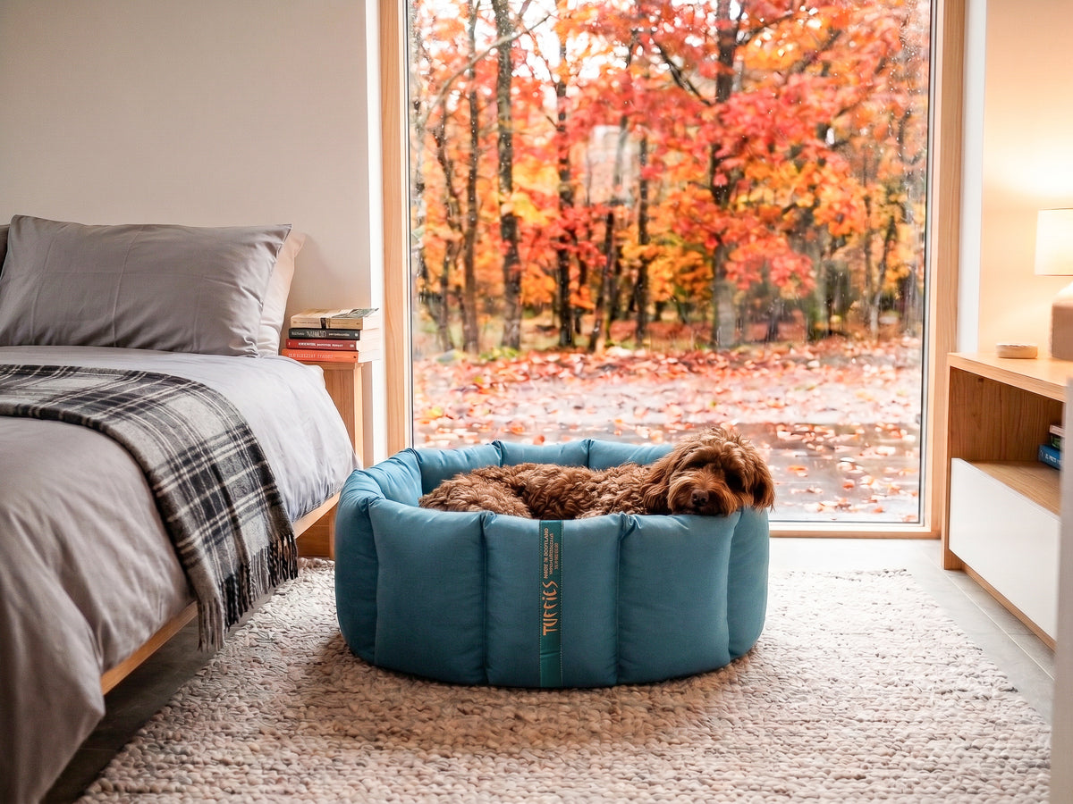 (Full Nest Teal with Grey Dog Dryer)
