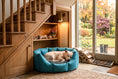 Load image into Gallery viewer, (Easy Access Teal with Grey Dog Dryer)
