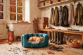 Load image into Gallery viewer, (Easy Access Teal with Harvest)

