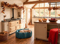 Load image into Gallery viewer, (Full Nest Teal with Red Dog Dryer)

