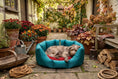 Load image into Gallery viewer, (Easy Access Teal with Red Dog Dryer)
