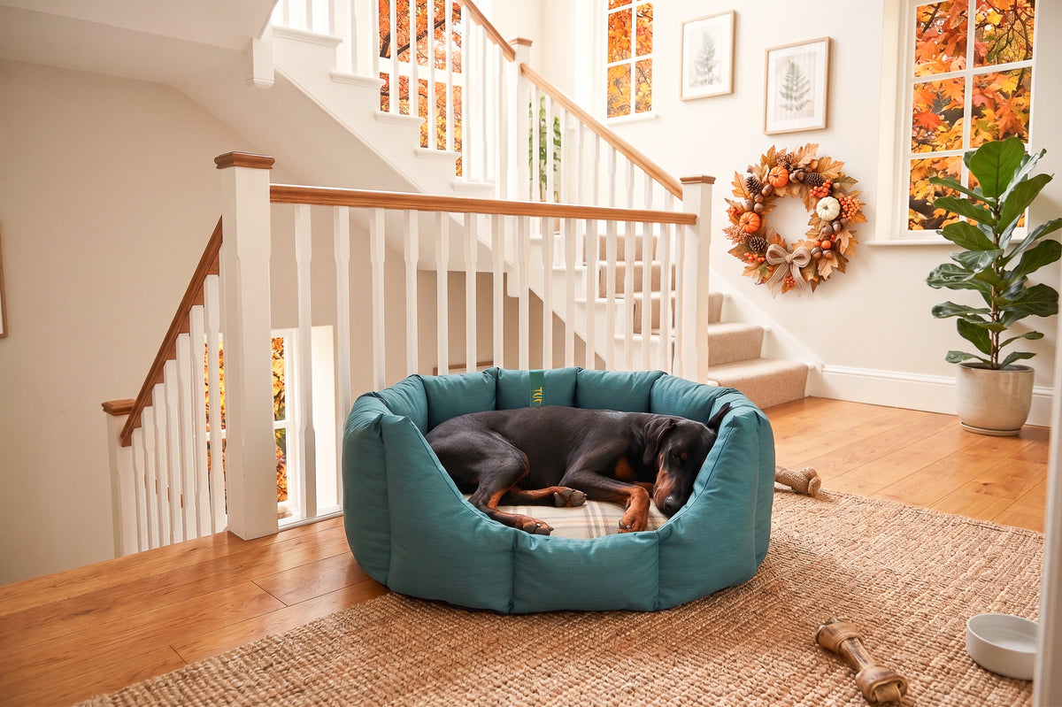 (Easy Access Teal with Sprigs)