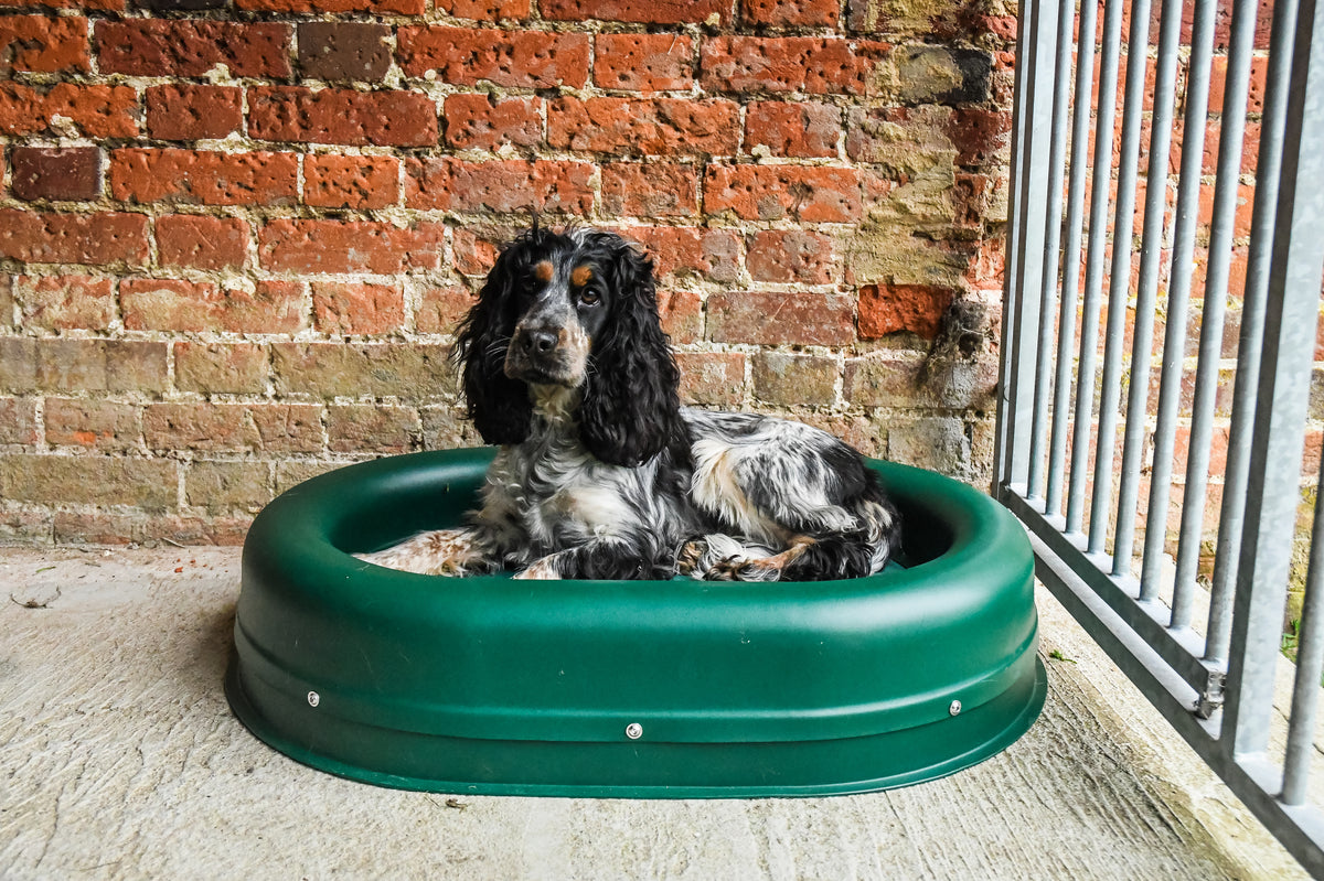 CLEARANCE : SMALL, GREEN REALLY TOUGH TUFFIE