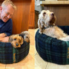 Two dogs in a dog bed with a person on either side, one of which is a large breed.