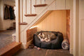 Load image into Gallery viewer, (Easy Access Black with Grey Dog Dryer)
