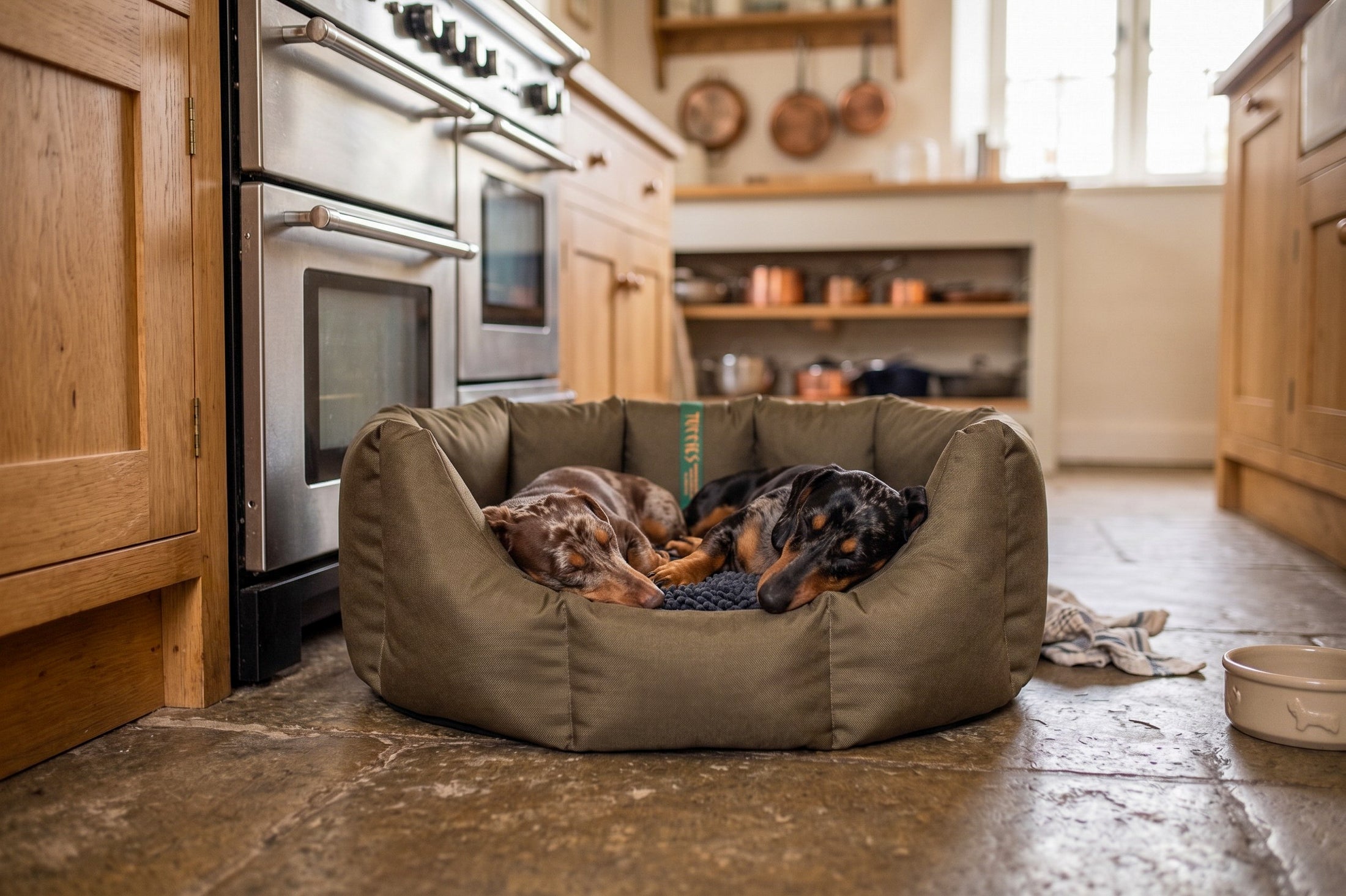 (Easy Access Chocolate with Navy Dog Dryer)