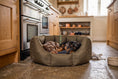 Load image into Gallery viewer, (Easy Access Chocolate with Navy Dog Dryer)
