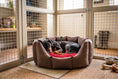 Load image into Gallery viewer, (Easy Access Chocolate with Red Dog Dryer)
