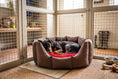Load image into Gallery viewer, (Easy Access Chocolate with Red Dog Dryer)
