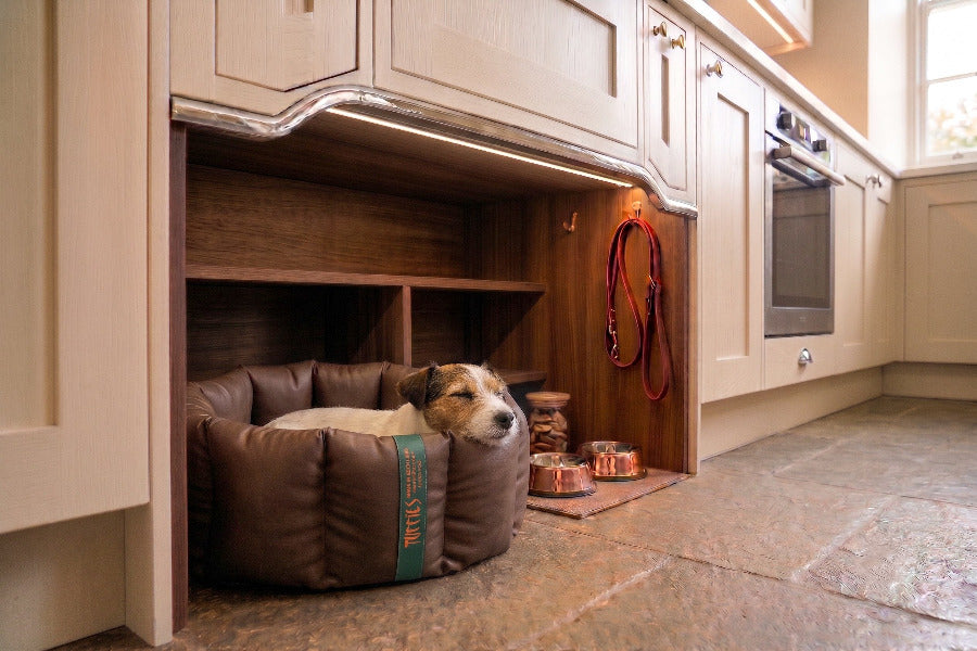 (Full Nest Chocolate with Brown Dog Dryer)