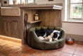 Load image into Gallery viewer, (Easy Access Dark Olive with Brown Dog Dryer)
