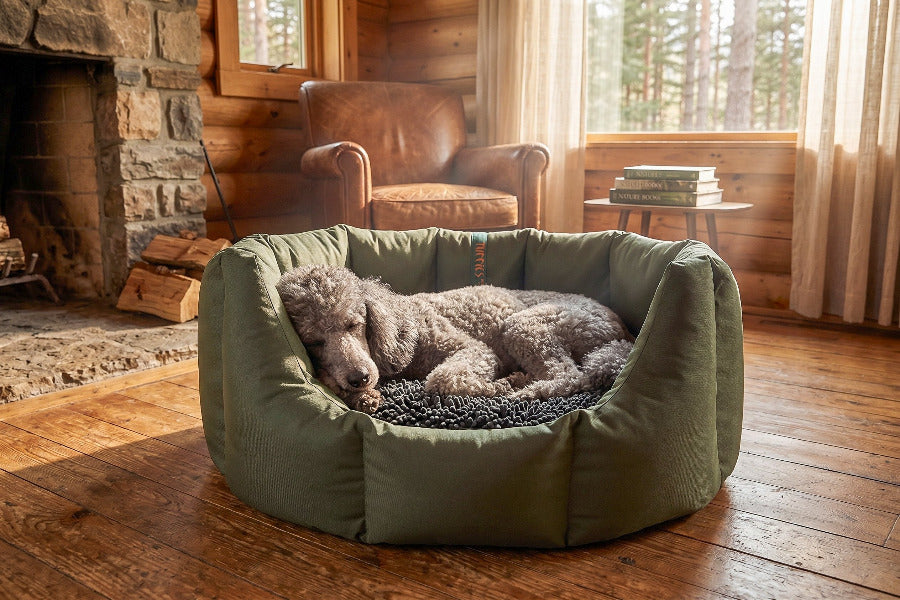 (Easy Access Dark Olive with Grey Dog Dryer)