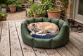 Load image into Gallery viewer, (Easy Access dark Olive with Navy Dog Dryer)
