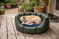Load image into Gallery viewer, (Easy Access Dark Olive with Navy Dog Dryer)
