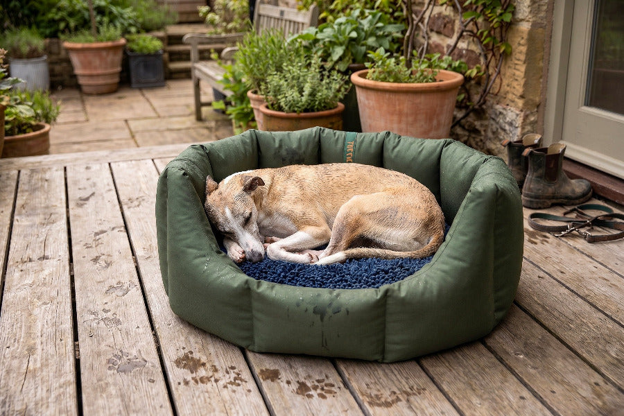 (Easy Access Dark Olive with Navy Dog Dryer)