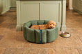 Load image into Gallery viewer, (Full Nest Dark Olive with Winter Warm)
