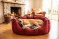 Load image into Gallery viewer, (Easy Access Dark Red with Brown Dog Dryer)
