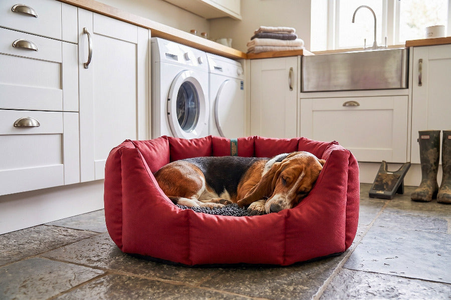 (Easy Access Dark Red with Grey Dog Dryer)