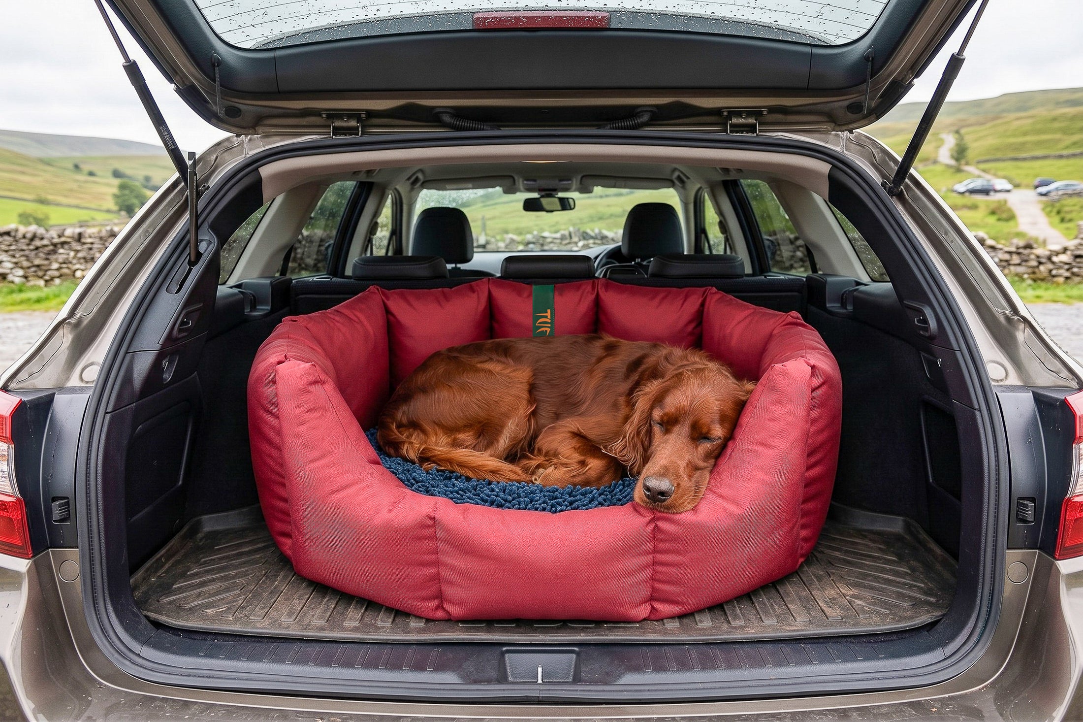 (Easy Access Dark Red with Navy Dog Dryer)