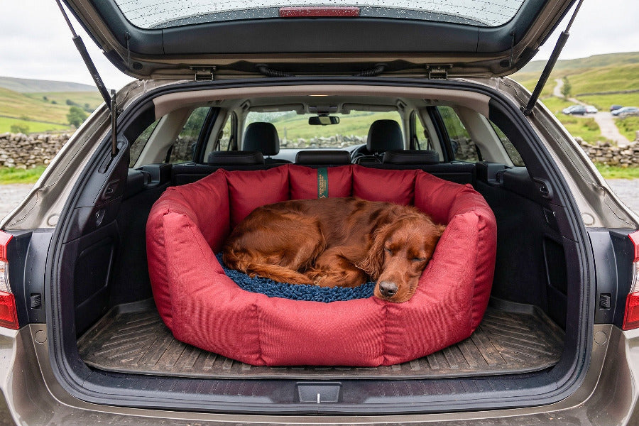 (Easy Access Dark Red with Navy Dog Dryer)