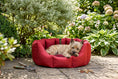 Load image into Gallery viewer, (Easy Access Dark Red with Red Dog Dryer)
