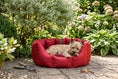 Load image into Gallery viewer, (Easy Access Dark Red with Red Dog Dryer)
