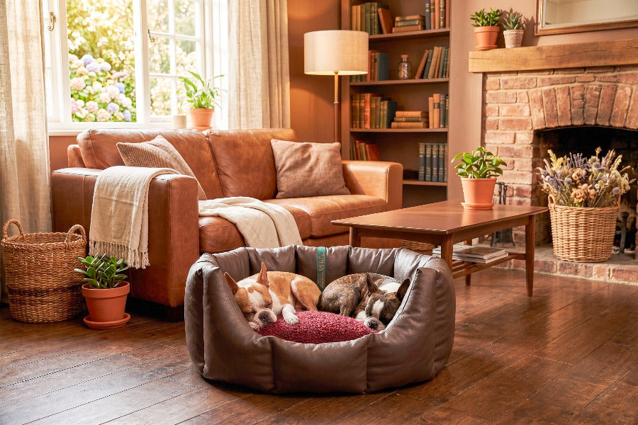 (Easy Access Chocolate with Burgundy)