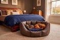 Load image into Gallery viewer, (Easy Access Chocolate with Midnight Navy)
