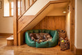 Load image into Gallery viewer, (Easy Access Green with Paw Print)
