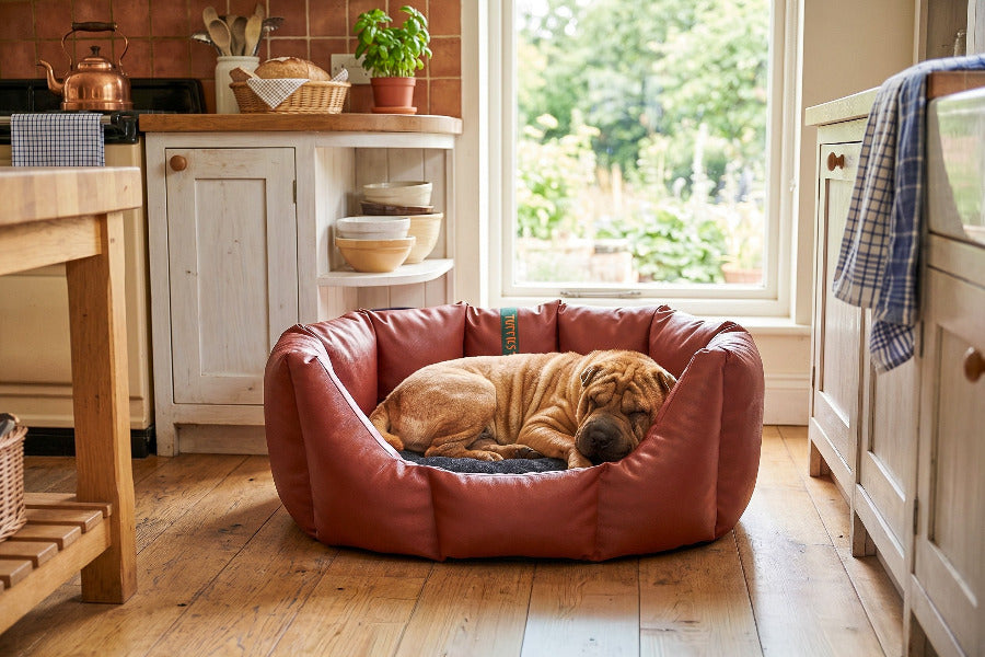 (Easy Access Russet with Black)