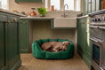 Load image into Gallery viewer, (Easy Access Emerald Green with Brown Dog Dryer)
