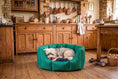 Load image into Gallery viewer, (Easy Access Emerald Green with Navy Dog Dryer)
