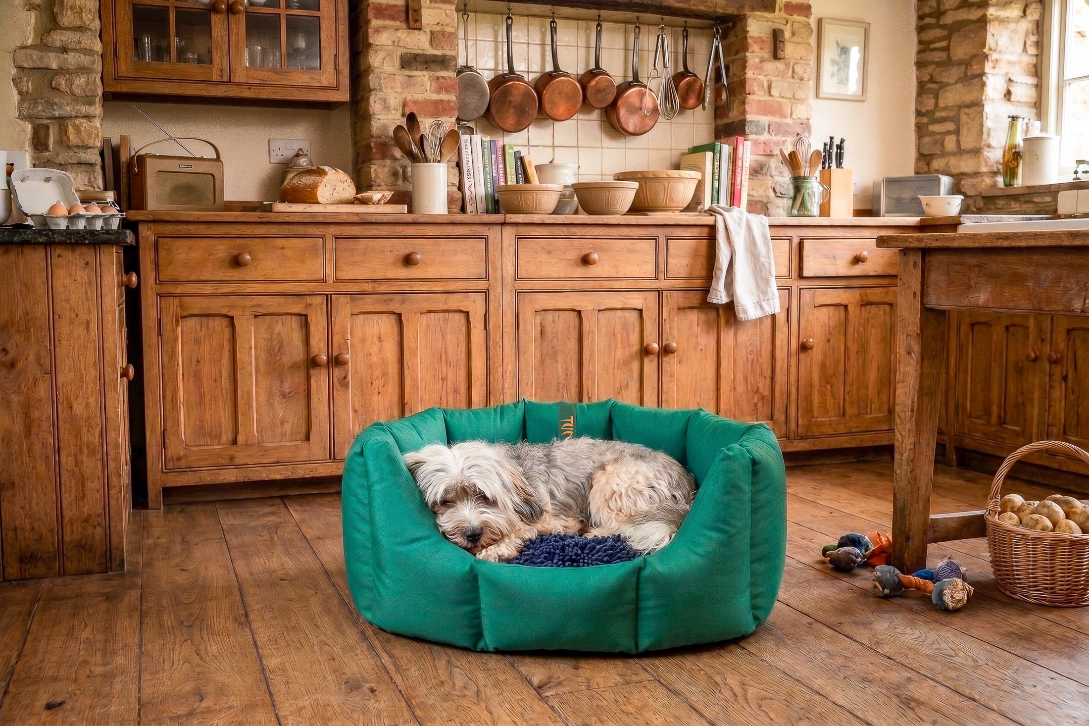 (Easy Access Emerald Green with Navy Dog Dryer)