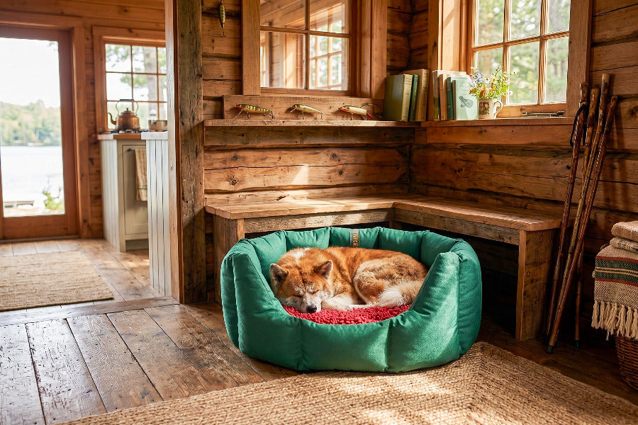 (Easy Access Emerald Green with Red Dog Dryer)