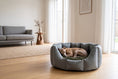 Load image into Gallery viewer, (Easy Access Grey with Brown Dog Dryer)
