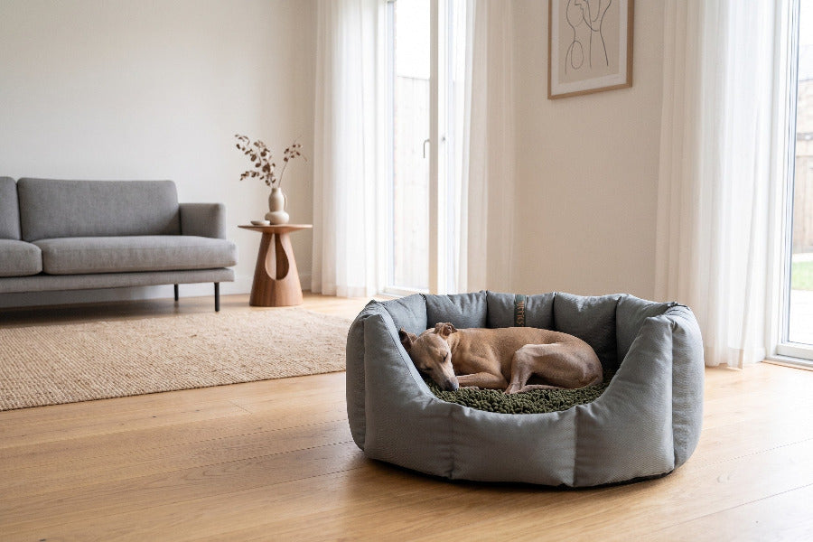 (Easy Access Grey with Brown Dog Dryer)