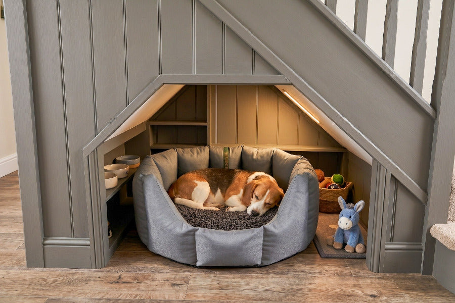 (Easy Access Grey with Grey Dog Dryer)