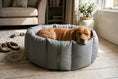 Load image into Gallery viewer, (Full Nest Grey with Navy Dog Dryer)
