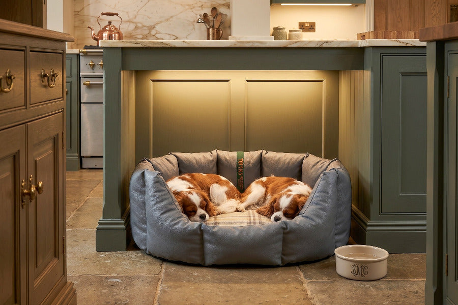 (Easy Access Grey with Sprigs)