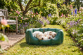 Load image into Gallery viewer, (Easy Access Green with By The Sea)
