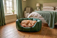 Load image into Gallery viewer, (Easy Access Green with Winter Warm)
