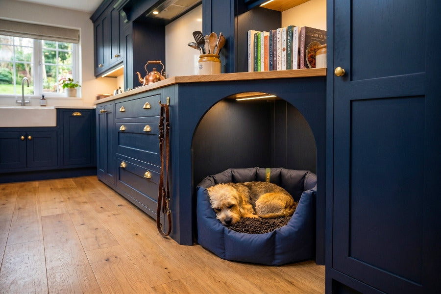 (Easy Access Navy with Brown Dog Dryer)