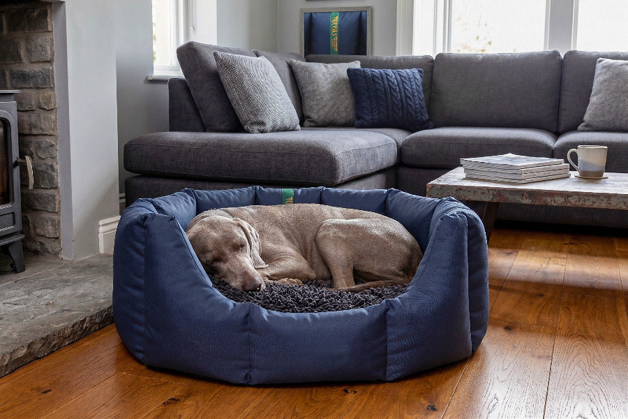 (Easy Access Navy with Grey Dog Dryer)