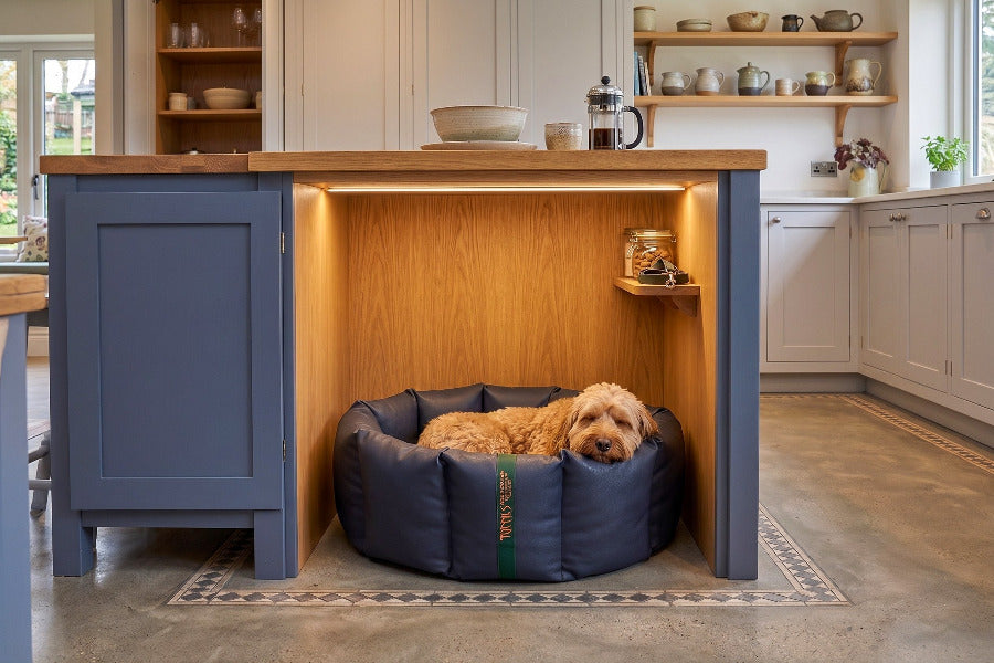 (Full Nest Navy with Grey Dog Dryer)
