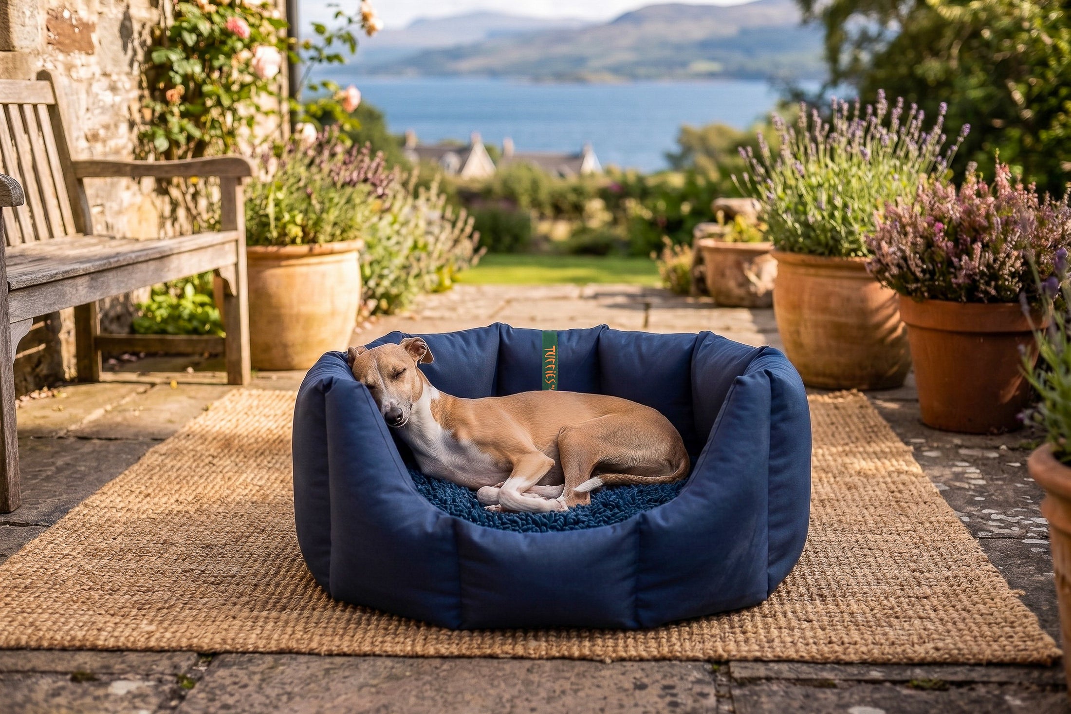 (Easy Access Navy with Navy Dog Dryer)