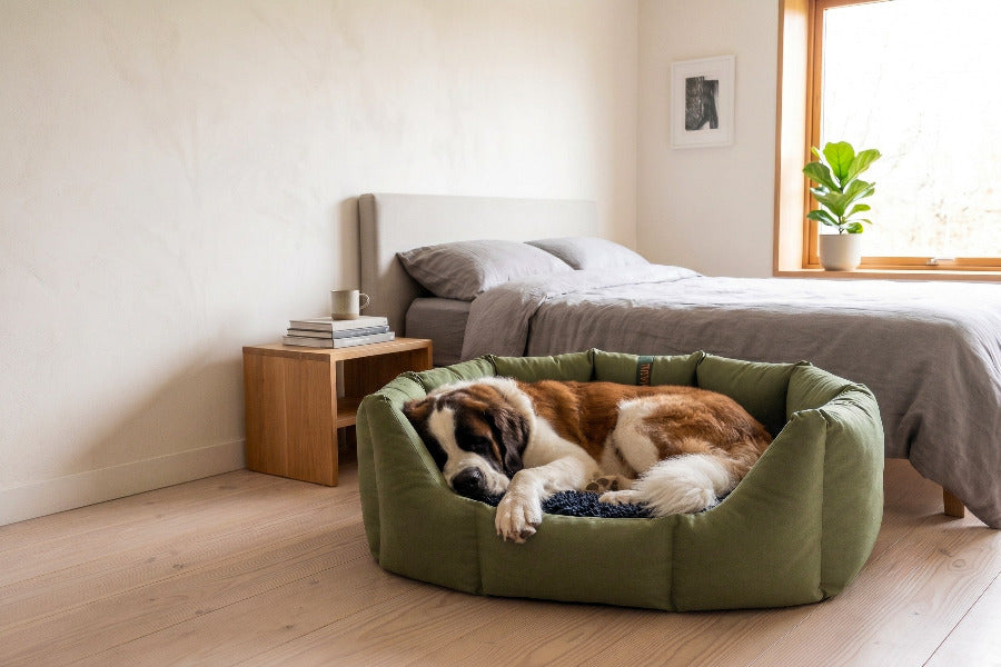 (Easy Access Olive with Navy Dog Dryer)