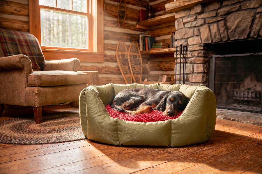 (Easy Access Olive with Red Dog Dryer)