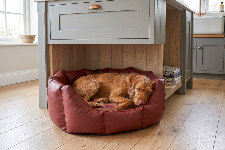 (Easy Access Russet with Rose)